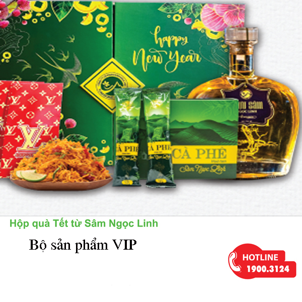 bo-qua-tet-vip-sam-ngoc-linh