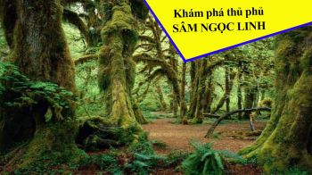 kham-pha-thu-phu-sam-ngoc-linh-kon-tum