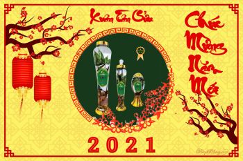 vui-xuan-cung-sam-ngoc-linh-mon-qua-y-nghia-tang-nguoi-than